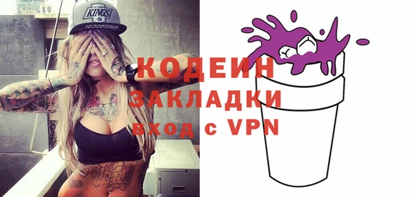 индика Арсеньев