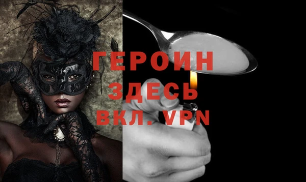 индика Арсеньев
