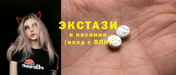 индика Арсеньев