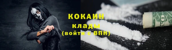 индика Арсеньев