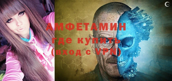 индика Арсеньев