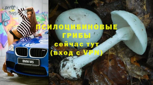 не бодяженный Армянск