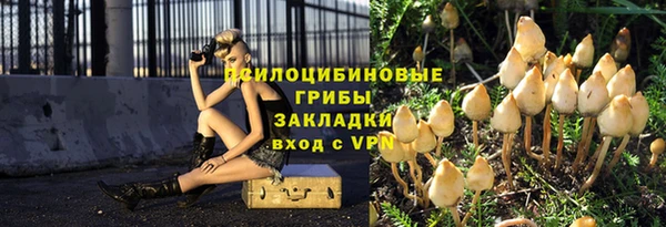 индика Арсеньев