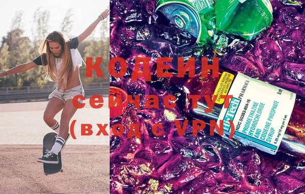 индика Арсеньев
