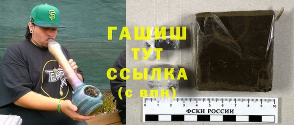 индика Арсеньев