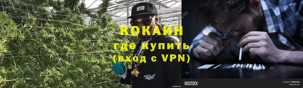 индика Арсеньев