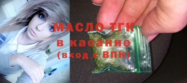 индика Арсеньев
