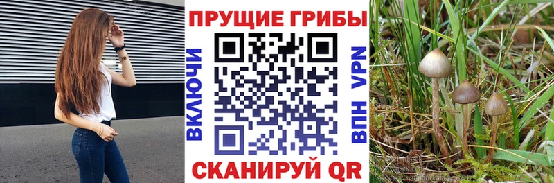 сайты даркнета телеграм  Игарка  Псилоцибиновые грибы мухоморы  купить наркотики сайты 